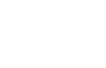 CasinoFeber Logo