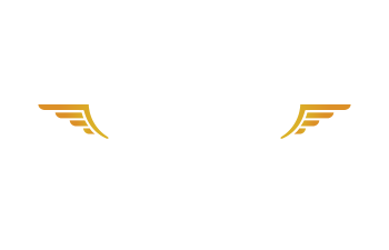 High Fly Elipse Logo